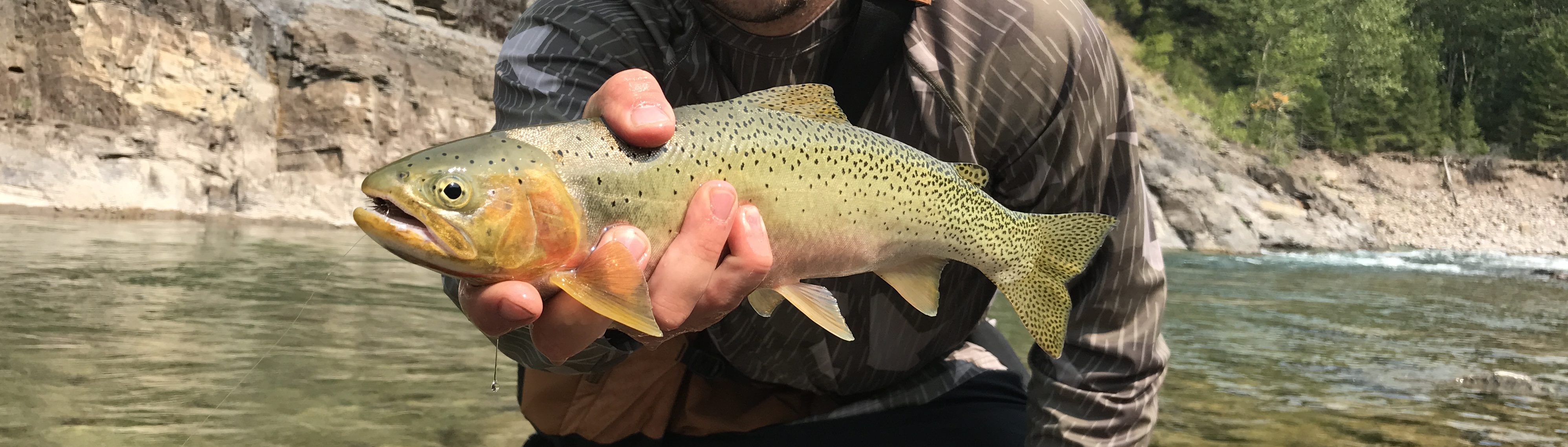 Montana fly fishing near Glacier National Park