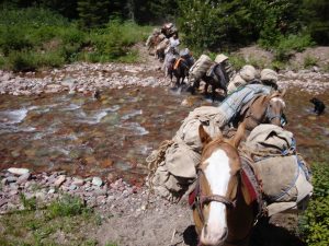 Montana pack string cross wilderness river
